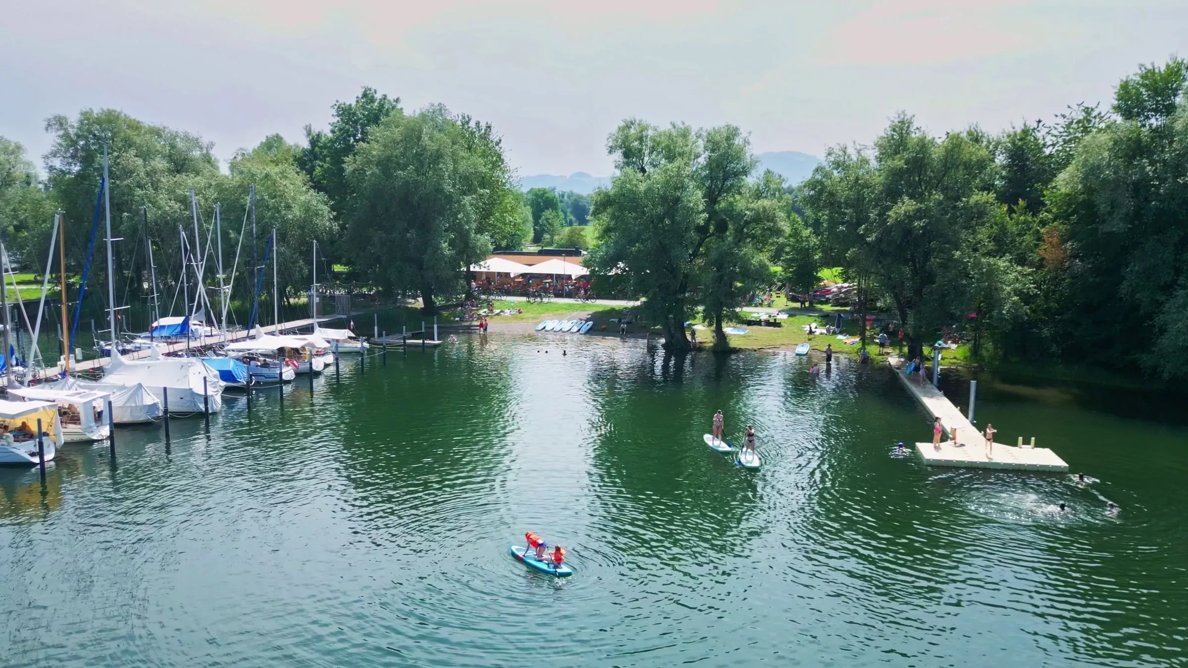 Blick vom Bodensee auf den Steg von Surfmax mit Stand-up-Paddlern und Segelbooten